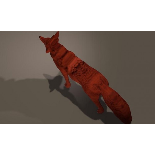 3D Model of Fox