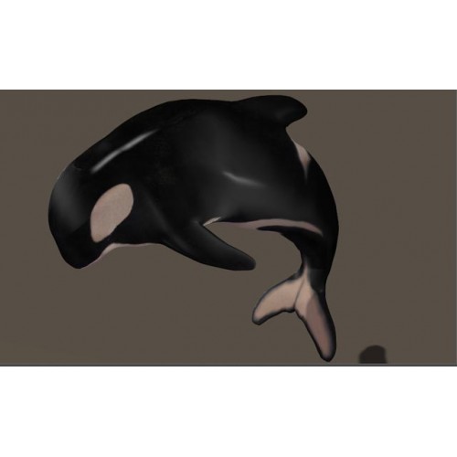 3D Model of Killer Whale