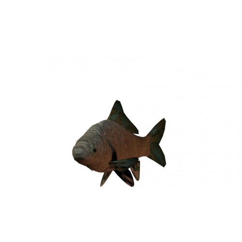 3D Model of Fish