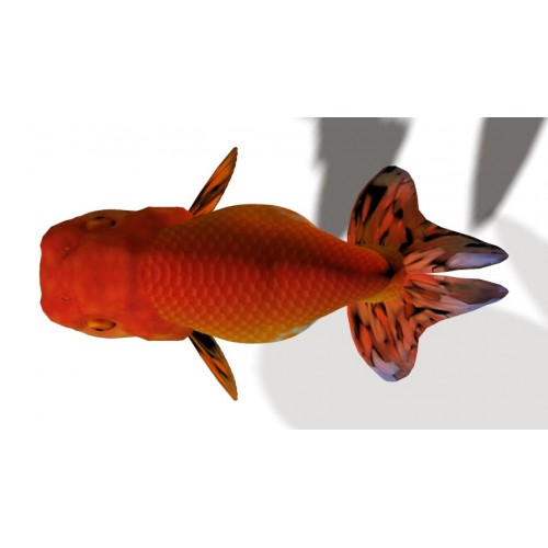 3D Model of Goldfish